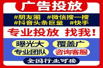 SEM推广实战：成功案例剖析